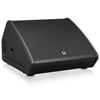 TURBOSOUND TFX122M-AN 2 Yollu 12