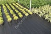 2 Mt En Sera Taban Örtüsü – Peyzaj Kumaşı Jüt (100 gr/m²)