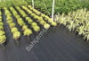 4 Mt En Sera Taban Örtüsü – Peyzaj Kumaşı Jüt (100 gr/m²)