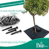 Ağaç Taban Örtüsü 80x80 1 Adet Bsr Garden