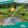 Ağaç Taban Örtüsü 80x80 20 Adet Bsr Garden