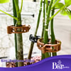 Bitki Klipsi - Domates Klipsi 250 Adet 25 Mm Gövde Sarmaşık Bitki Bağlama Kelepçesi, Kahverengi / Bsr Garden