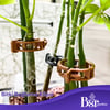 Bitki Klipsi - Domates Klipsi 500 Adet 25 Mm Gövde Sarmaşık Bitki Bağlama Kelepçesi, Kahverengi / Bsr Garden