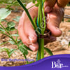 Bitki Klipsi - Domates Klipsi 500 Adet 25 Mm Gövde Sarmaşık Bitki Bağlama Kelepçesi, Kahverengi / Bsr Garden