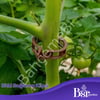 Bitki Klipsi - Domates Klipsi 500 Adet 25 Mm Gövde Sarmaşık Bitki Bağlama Kelepçesi, Kahverengi / Bsr Garden
