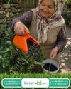 Blue Berry , Aronya , Likarpa Ve Meyve  Toplama Tarağı Plastik Bsr Garden
