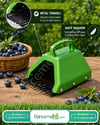 Blue Berry , Aronya , Likarpa Ve Meyve  Toplama Tarağı Plastik Bsr Garden