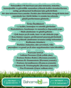 Çim Tohumu 7 Mix Grass Karışımı - 1 kg TohumBox
