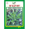 Hindiba (Güneyik) Tohumu 5 Gr Arzuman