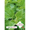 Isırgan Otu Tohumu 100 Adet – Arzuman