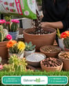 Kaktüs Özel Toprağı 3 Litre Bsr Garden