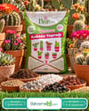 Kaktüs Özel Toprağı 3 Litre Bsr Garden