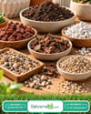 Kaktüs Özel Toprağı 3 Litre Bsr Garden