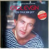 Erol Evgin-İşte Öyle Bir Şey- Plak