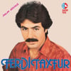 Ferdi Tayfur- İnsan Sevince-Plak