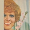 NESE KARABOCEK -DELI GIBI SEVDIM- LP