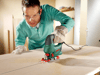 bosch-pst-800-pel-pandullu-dekupaj-tes--5763c.png