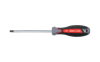 ceta-form-c-plus-torx-uclu-tornavida-t--87c3-.png