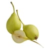 armut-akca-kg-c34c87.jpg
