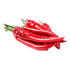biber-sili-kg-07-3e8.jpg