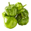 dolma-biber-kg-71-465.jpg