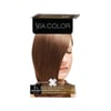 findik-kabugu-color-set-boya-7-8f8d9b.jpg