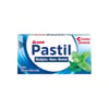 pastil-okaliptus-nane-mentol-8li-22-b4b307.jpg