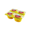 puding-dolcia-muzlu-4x60-gr-2d2d-4.jpg