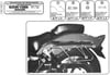KAPPA TK251 SUZUKI VZ 800 MARAUDER (97-02) YAN KUMAŞ ÇANTA TAŞIYICI