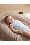 - 3'lü Sıfır Kol Bebek Body Seti | Ayı Motifli