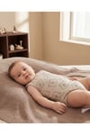 - 3'lü Sıfır Kol Bebek Body Seti | Ayı Motifli