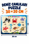 Ahşap Eğitici Deniz Hayvanları Puzzle – Deniz Canlılarını Öğreniyorum Renkli Öğretici Yapboz Oyuncak