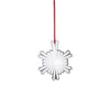 ornaments-disi-yildizli-kar-tanesi-5dabf-.jpg