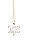 ornaments-kar-tanesi-61c7f-.jpg