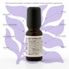 Eye Contour Elixir / 360° Göz Çevresi Bakımı