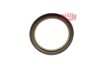 ABS Okuyucu Halka Arka Disk – Renault Clio III, Dacia Sandero 2005+
