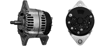 Alternatör 12V 175A – Case IH Magnum 2011+