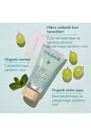 Caudalie Deep Cleansing Exfoliating Cream 75 ml