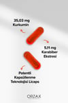 Ocean Curcumin 30 Kapsül x 3 Adet
