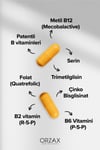 Ocean Methyl Balance 30 Kapsül