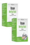 Ocean Methyl Folat 30 Tablet x 2 Adet