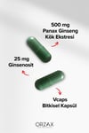 Ocean Panax Ginseng 60 Kapsül