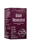 Ocean Resveratrol 30 Kapsül