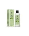 Rebul Kolonya Lime