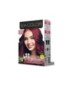 Sea Color 4.65 Şarap Kızılı Saç Boyası