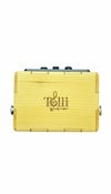 Fishmann 201 Harici Mobil Equalizer – Profesyonel Ses Kontrol Ünitesi