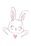 Zezecim Rabbit Süpersoft Kısa Kollu Pijama Takımı