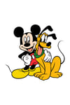 Zezex Disney Süpersoft Şort Takımı