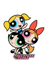 Zezex Powerpuff Süpersoft Şort Takımı
