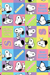 Zezex Snoopy 4 Süpersoft Şort Takımı